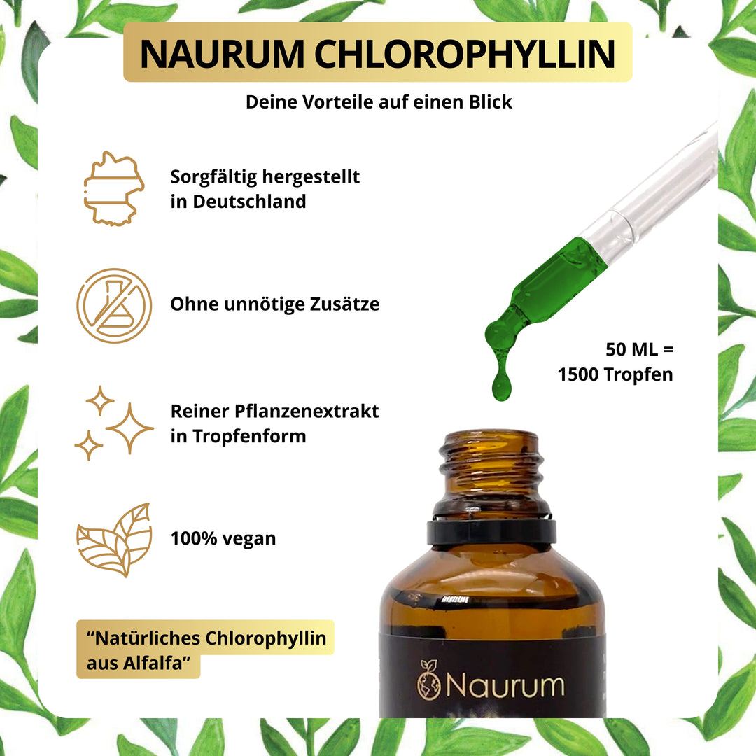 Chlorophyll Liquid Tropfen - Natürliches flüssiges Chlorophyll aus Alfalfa