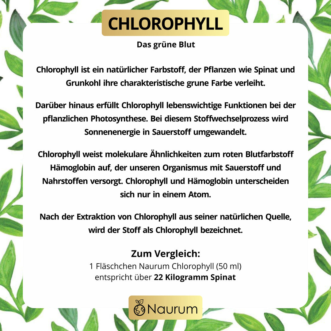 Chlorophyll Liquid Tropfen - Natürliches flüssiges Chlorophyll aus Alfalfa