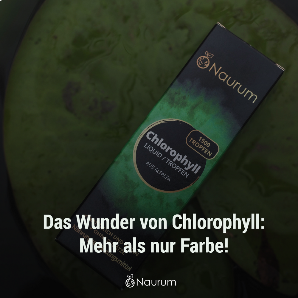 Chlorophyll: Was es ist – und was es nicht ist