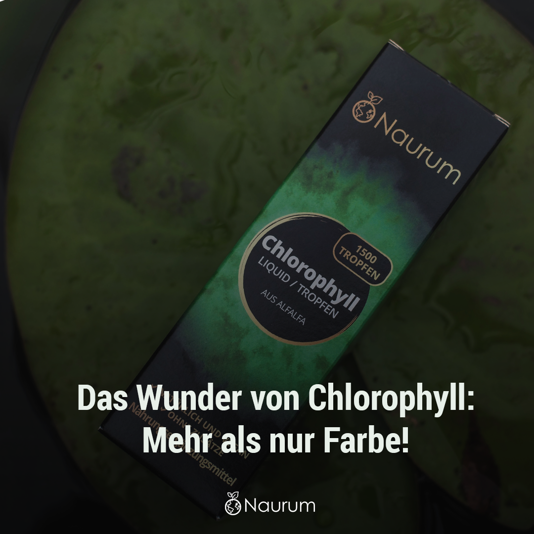 Chlorophyll: Was es ist – und was es nicht ist