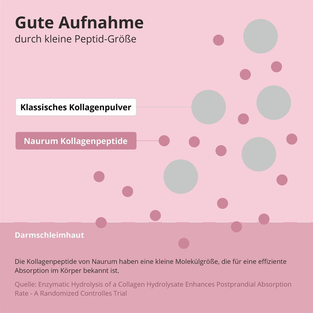 KollagenKraft Bioaktiv Komplex