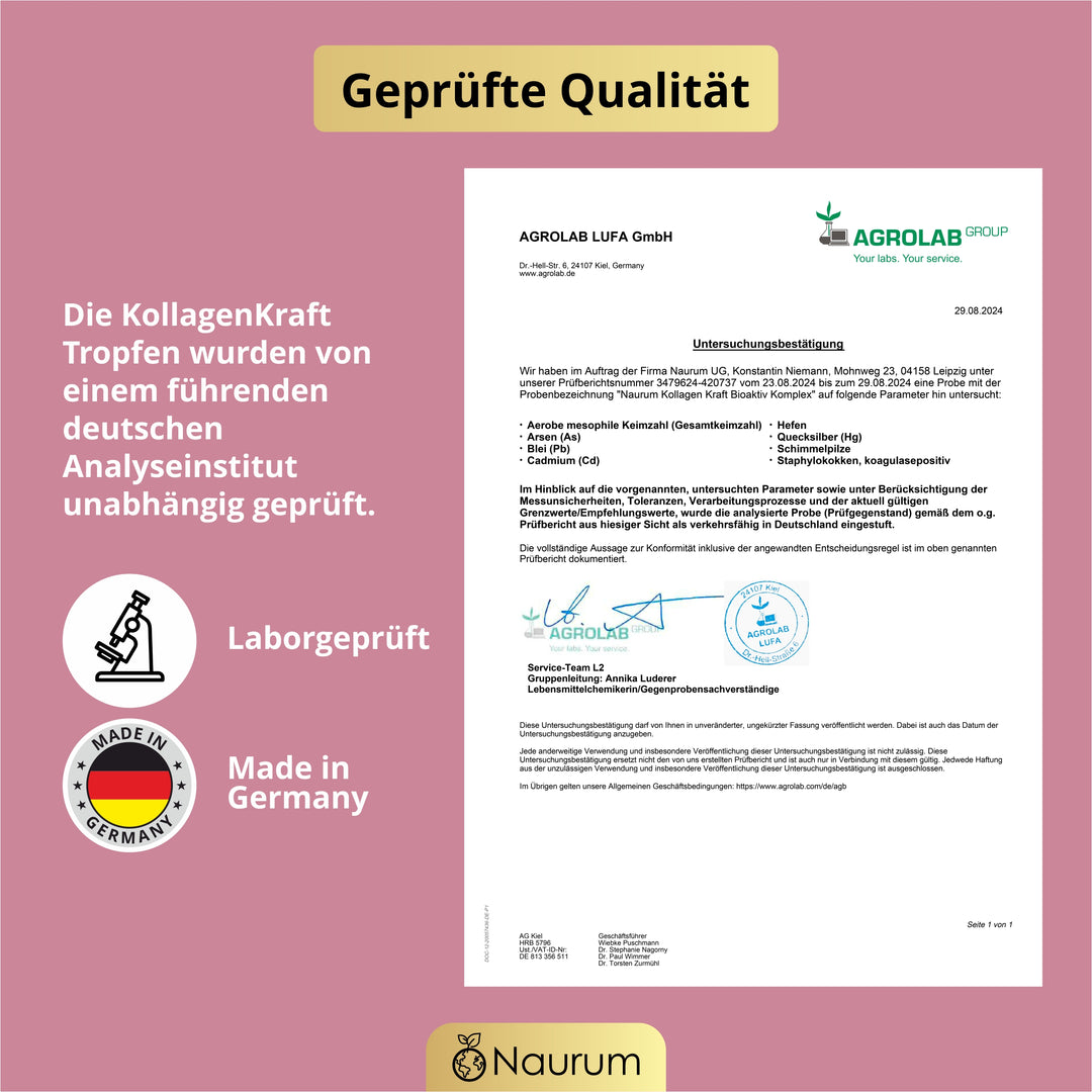 KollagenKraft Bioaktiv Komplex