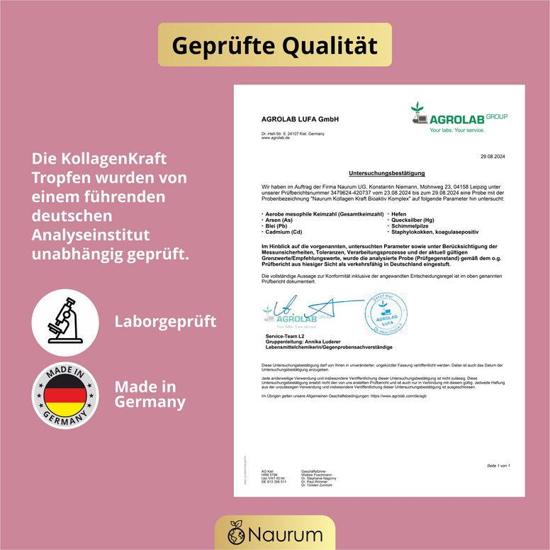 KollagenKraft Bioaktiv Komplex