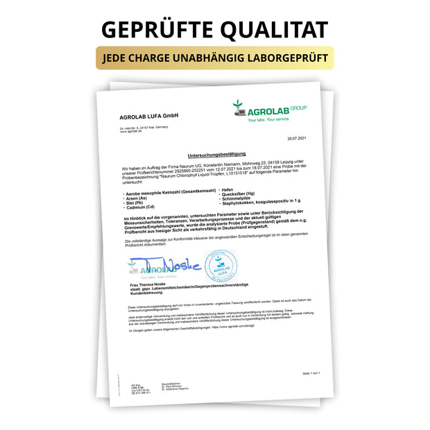 Chlorophyll Liquid Tropfen - Natürliches flüssiges Chlorophyll aus Alfalfa
