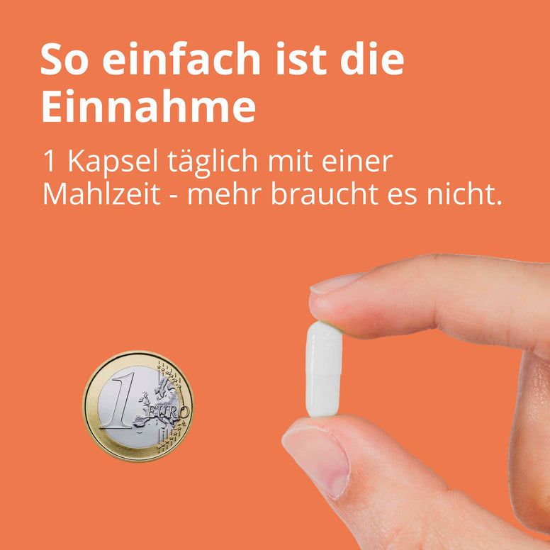 n:zymX Pro – Hochwertiger Enzymkomplex und sporenbasierte Mikroorganismen
