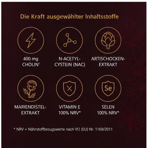 n:liverX – Leber-Komplex mit 400 mg Cholin
