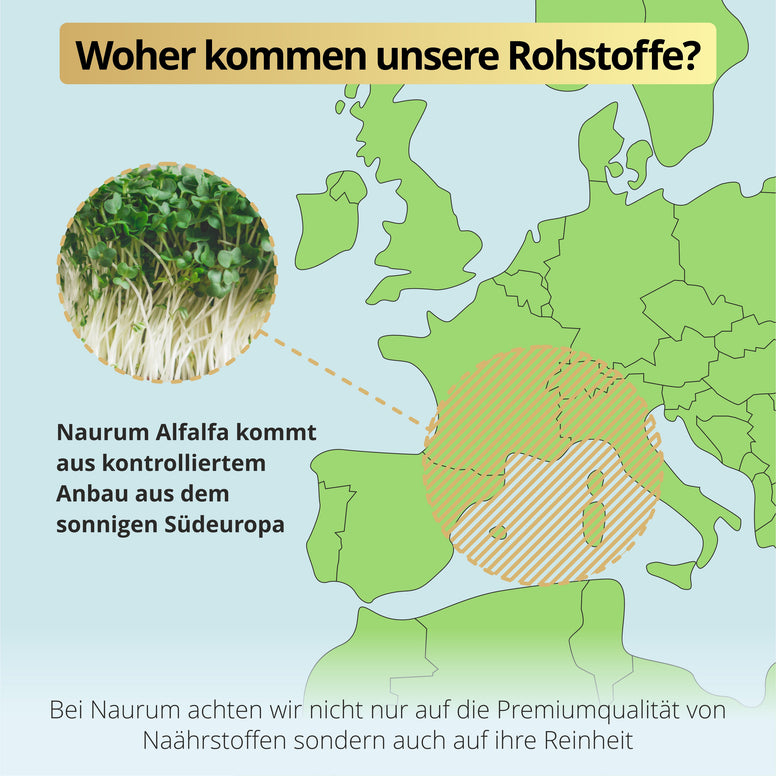 Chlorophyll Tropfen – flüssig & natürlich aus Alfalfa