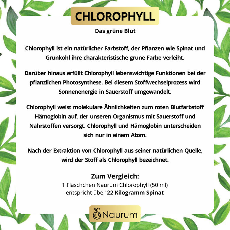 Chlorophyll Tropfen – flüssig & natürlich aus Alfalfa