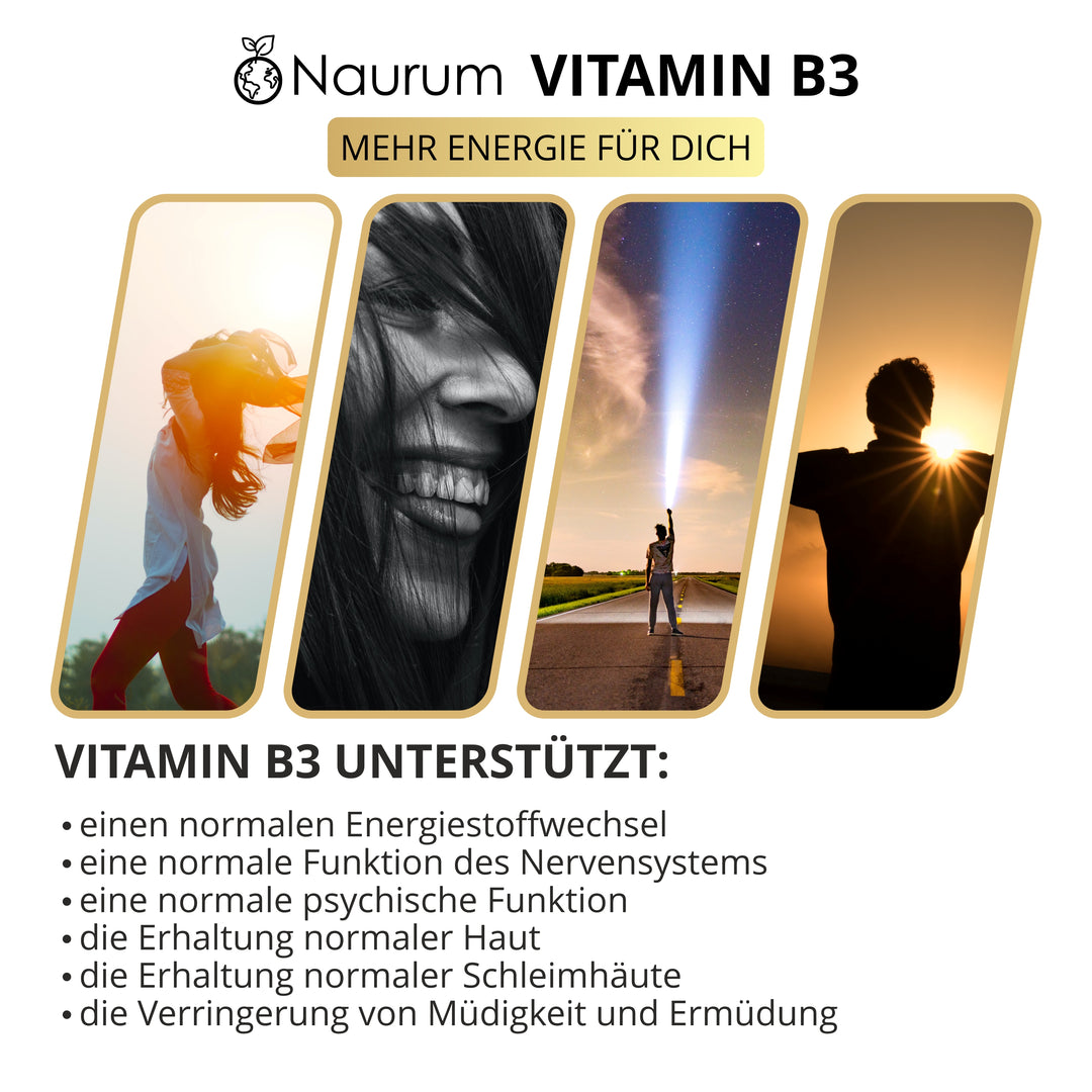 NIACIN - Vitamin B3 - Ohne Flush-Effekt