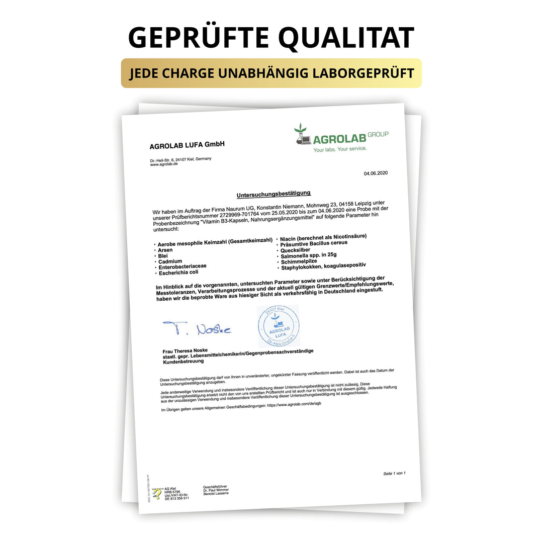 NIACIN - Vitamin B3 - Ohne Flush-Effekt