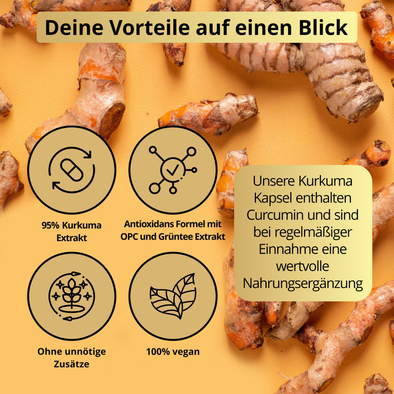 Kurkuma Komplex Kapseln – mit OPC & Grüntee-Extrakt