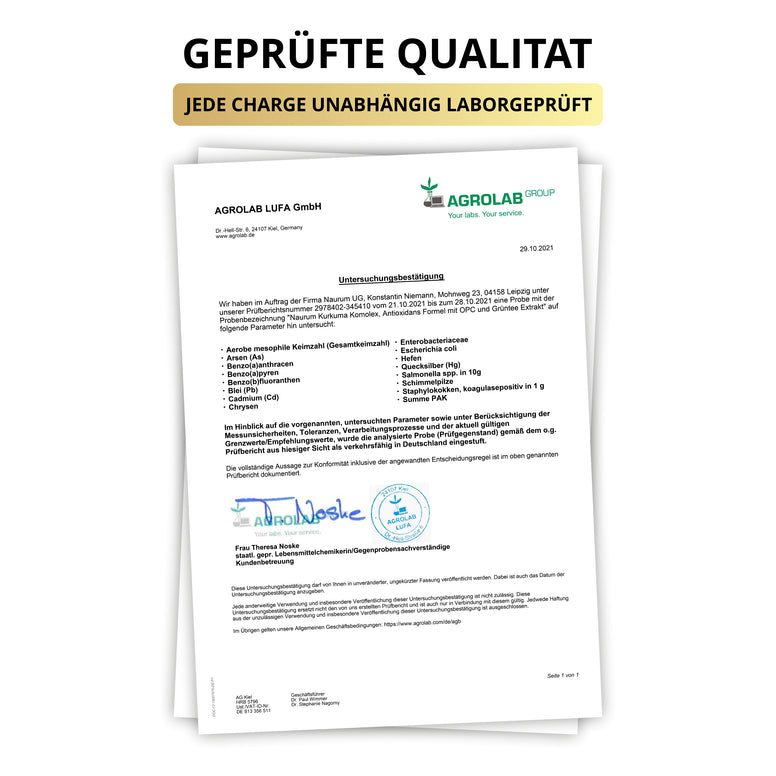 Kurkuma Komplex Kapseln – mit OPC & Grüntee-Extrakt